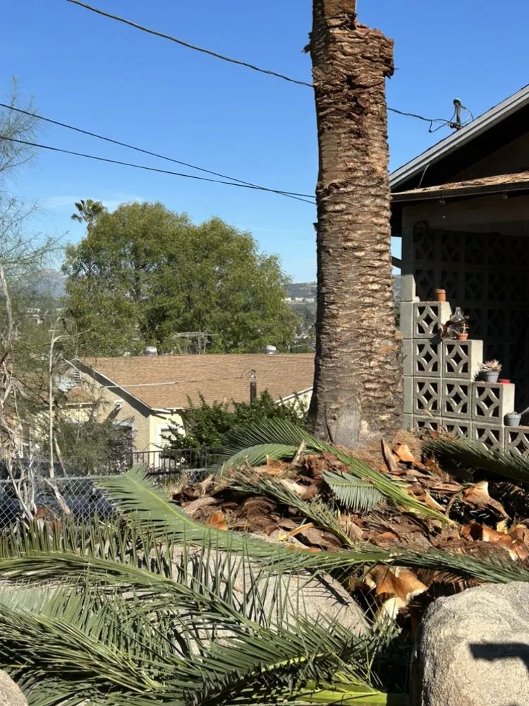 Professional lawn mowing service for beautiful yards across Encinitas, CA - Garcia’s Tree Service & Landscaping