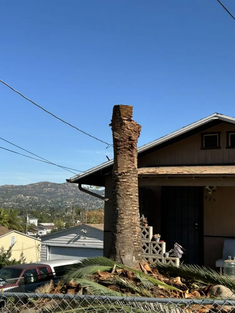 Top-rated landscaping services experts serving Encinitas, CA - Garcia’s Tree Service & Landscaping