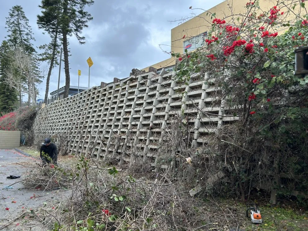 Trusted lawn mowing service in Encinitas, CA - Garcia’s Tree Service & Landscaping