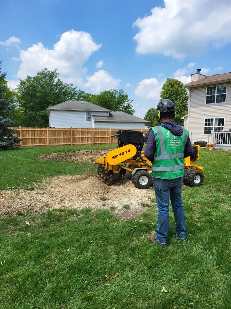 Local garden landscaping in Bolingbrook, IL - Garcia's Tree Service