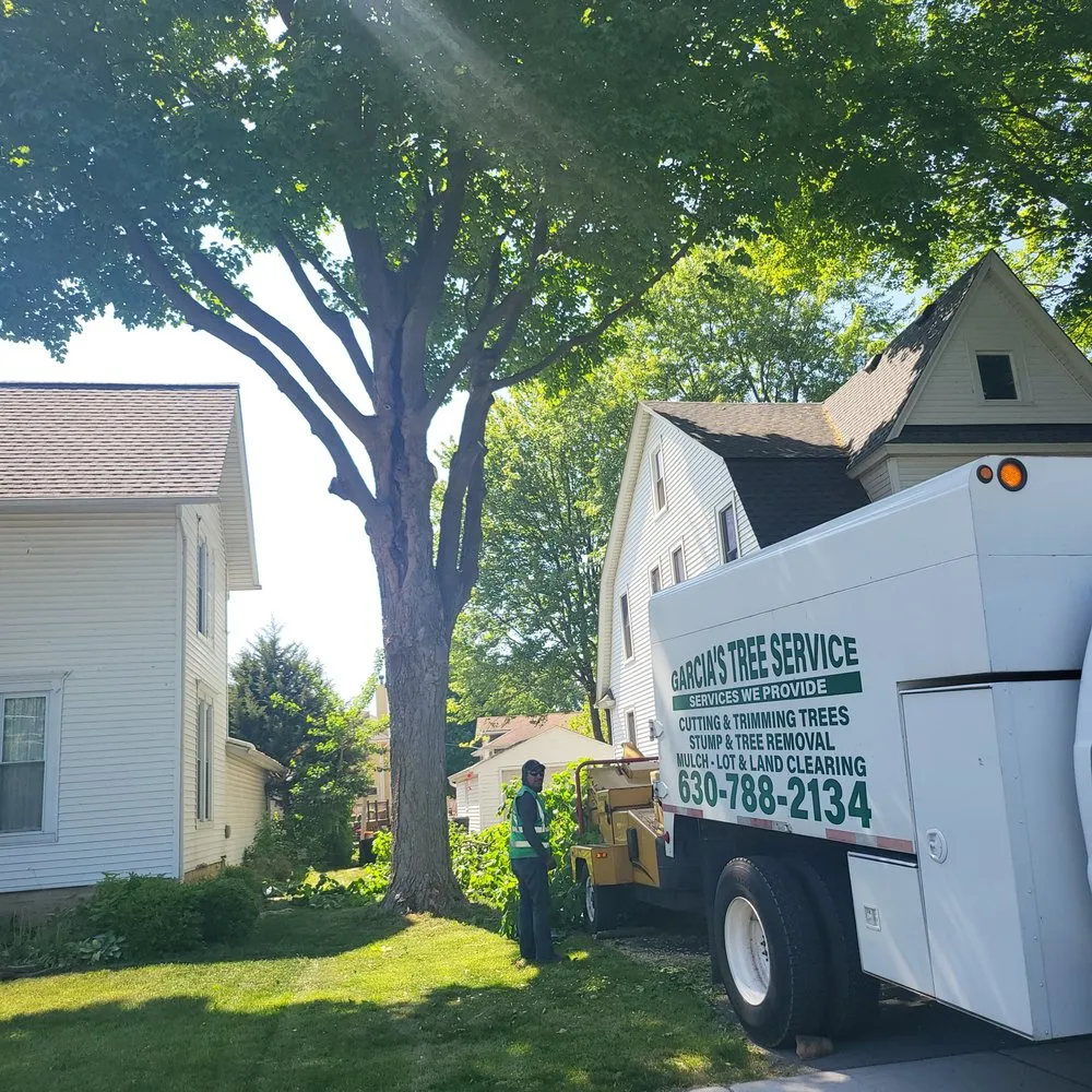 Affordable lawn mowing service for outdoor upgrades across Bolingbrook, IL - Garcia's Tree Service