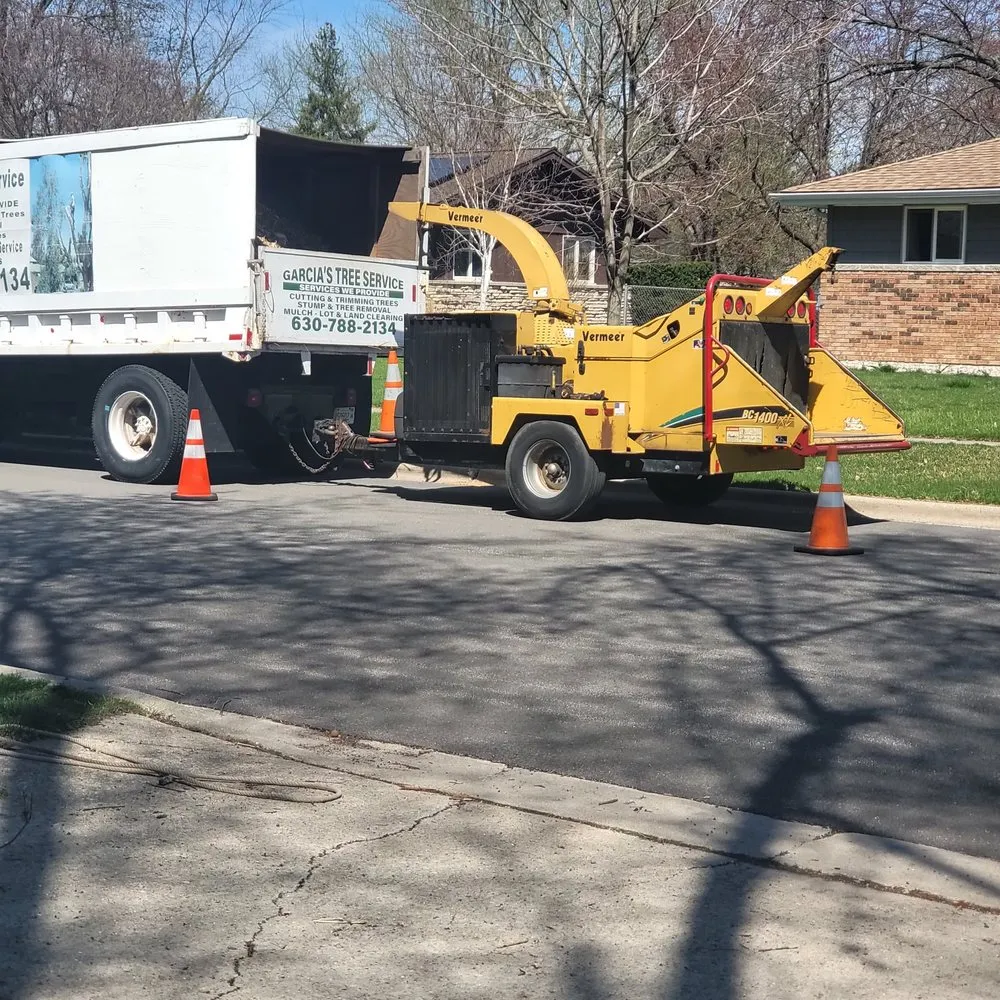 Affordable yard maintenance experts serving Bolingbrook, IL - Garcia's Tree Service