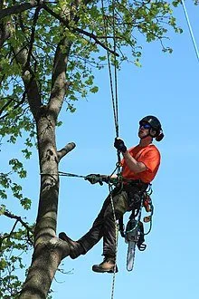 Affordable landscape installation in Bolingbrook, IL - Garcia's Tree Service