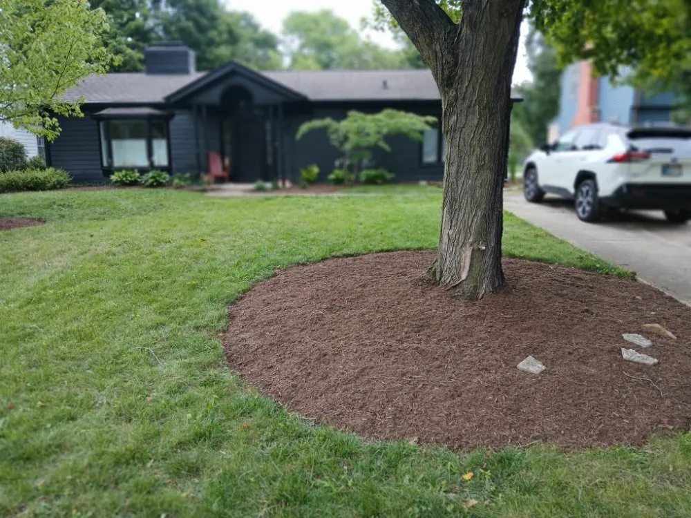 Expert landscaping services with custom design across Indianapolis, IN - Garcias Tree Services