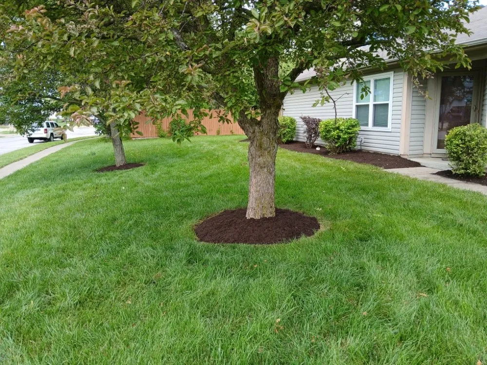 Expert residential landscaping in Indianapolis, IN by Garcias Tree Services