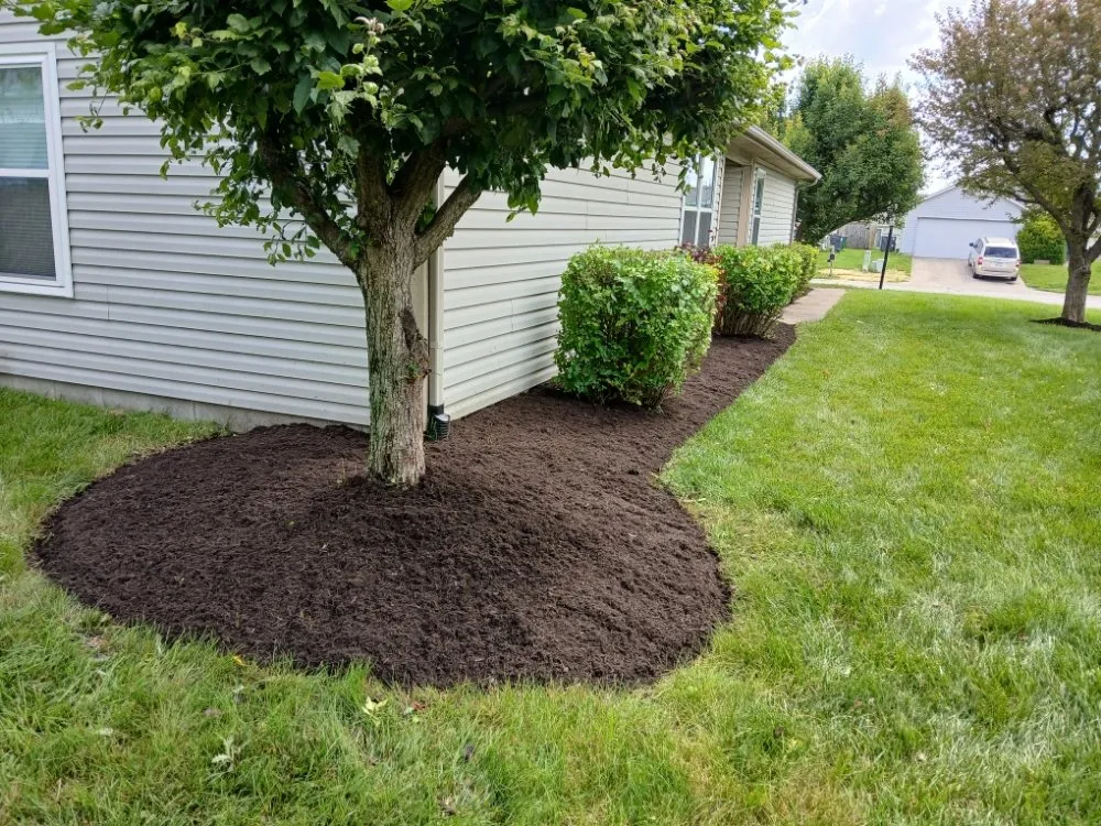 Local outdoor landscaping in Indianapolis, IN by Garcias Tree Services