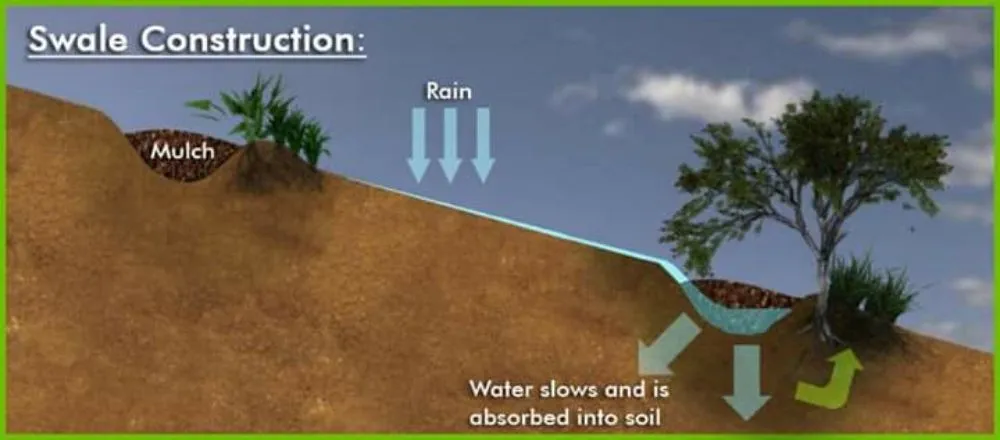 Custom landscaping services in Auburn, GA by Garde landscaping & lawn maintenance