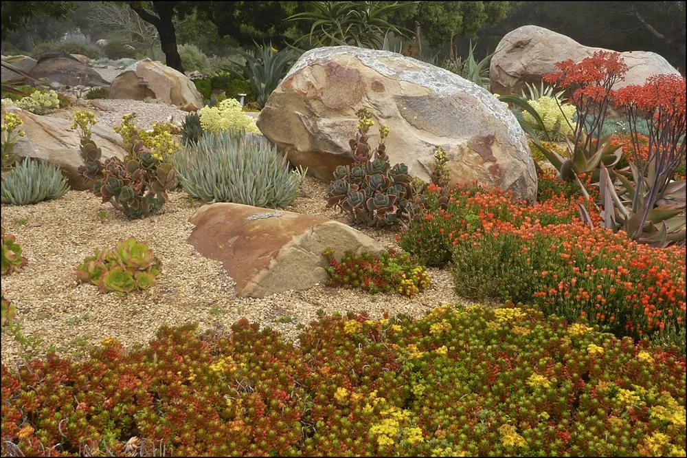 Professional landscaping services experts serving Santa Barbara, CA - Gardefacts Landscape Design