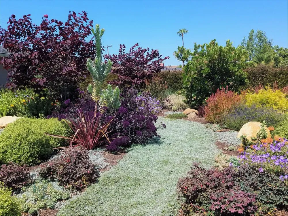 Affordable yard maintenance in Santa Barbara, CA - Gardefacts Landscape Design