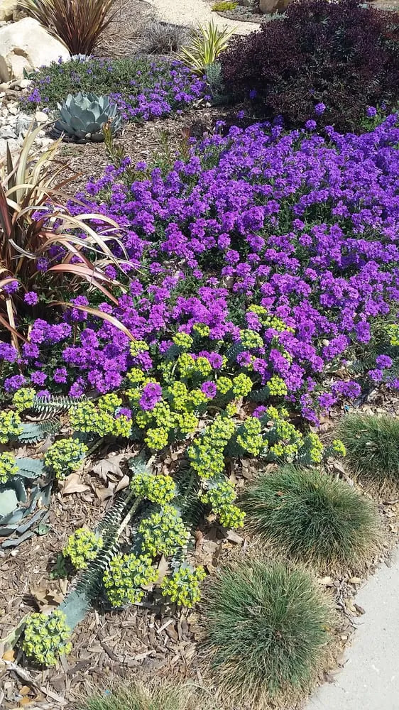 Affordable garden landscaping near you in Santa Barbara, CA by Gardefacts Landscape Design