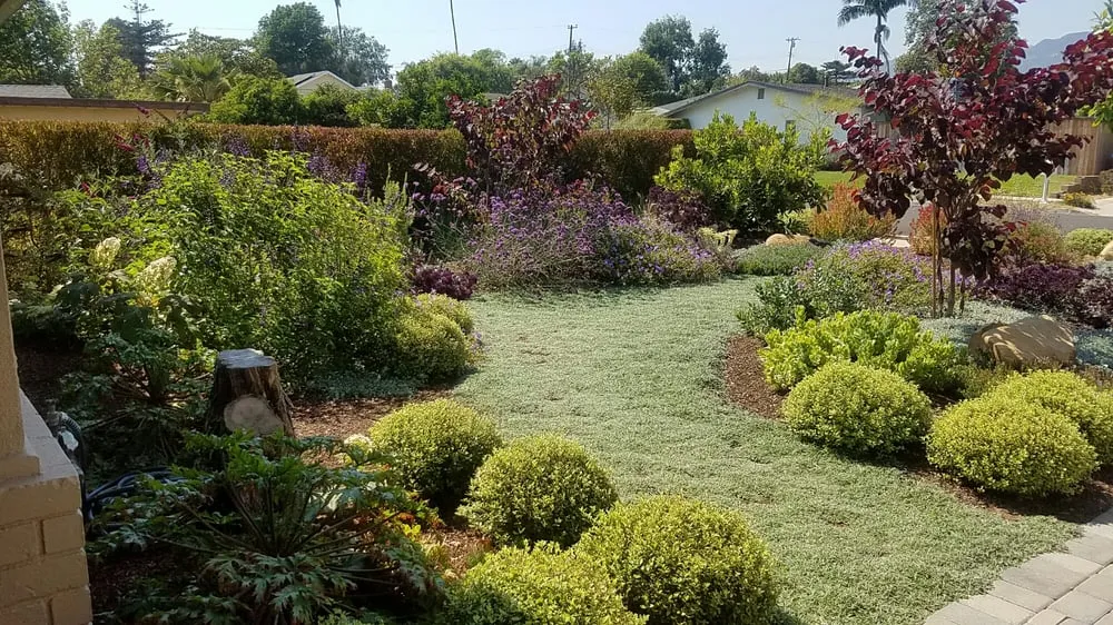 Reliable landscape installation in Santa Barbara, CA by Gardefacts Landscape Design