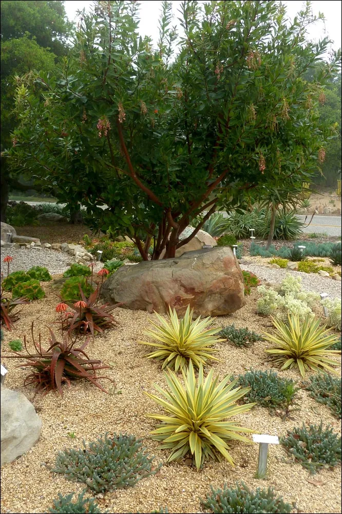 Custom landscaping services near you in Santa Barbara, CA by Gardefacts Landscape Design