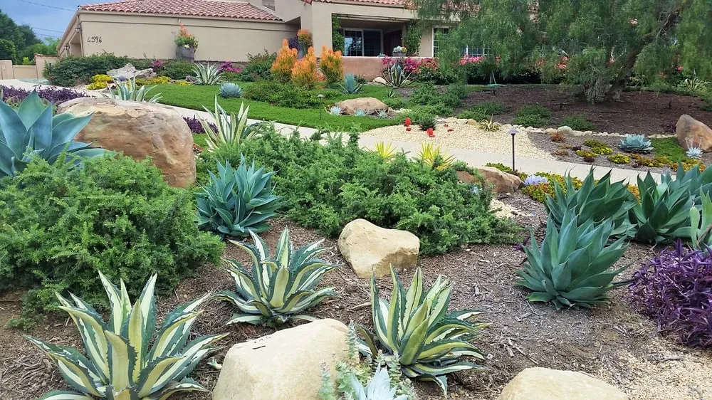 Trusted yard maintenance in Santa Barbara, CA by Gardefacts Landscape Design