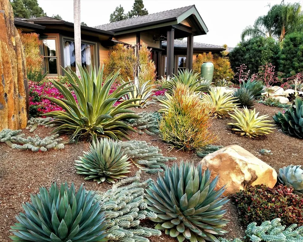 Trusted landscaping services in Santa Barbara, CA - Gardefacts Landscape Design