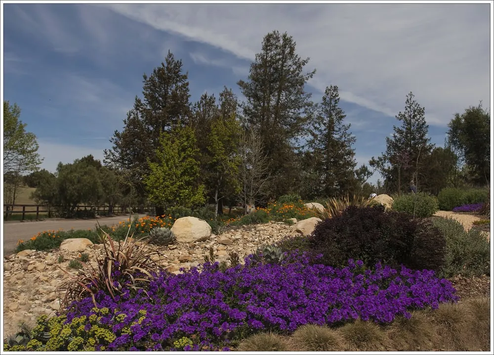 Local lawn care service with custom design in Santa Barbara, CA by Gardefacts Landscape Design