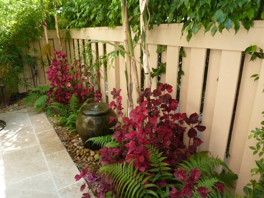 Top-rated lawn mowing service near you in Santa Barbara, CA by Gardefacts Landscape Design