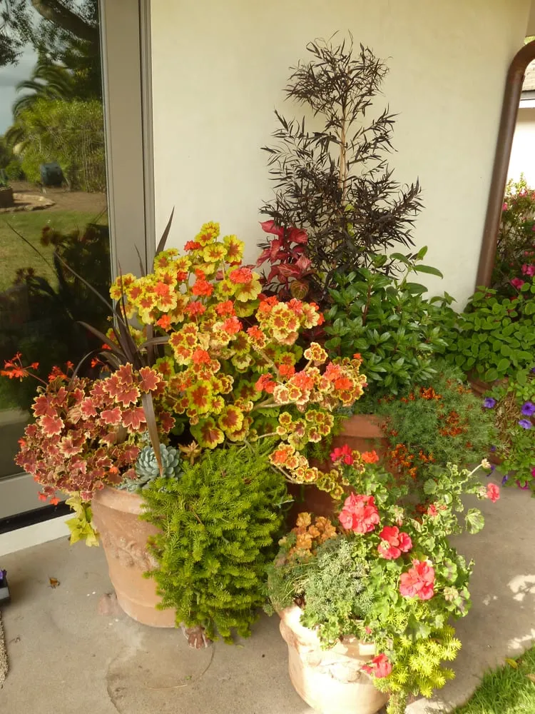 Expert yard maintenance in Santa Barbara, CA by Gardefacts Landscape Design