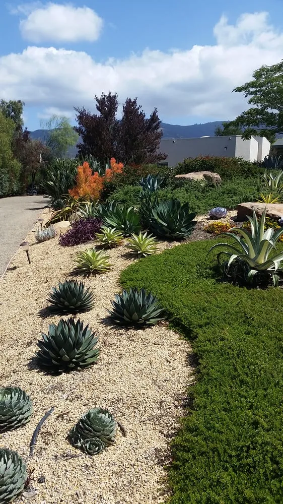 Affordable yard cleanup service in Santa Barbara, CA by Gardefacts Landscape Design