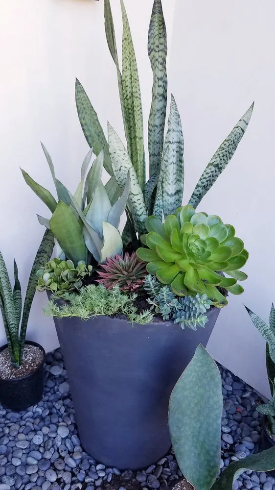 Local landscape design in Santa Barbara, CA - Gardefacts Landscape Design