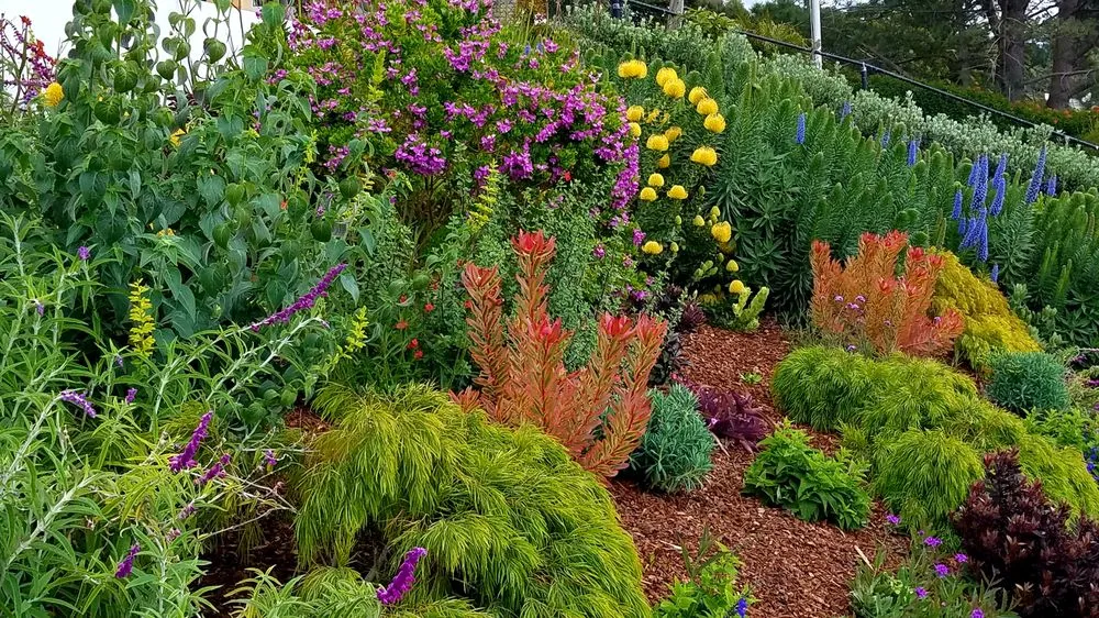 Expert lawn care service for homes in Santa Barbara, CA by Gardefacts Landscape Design