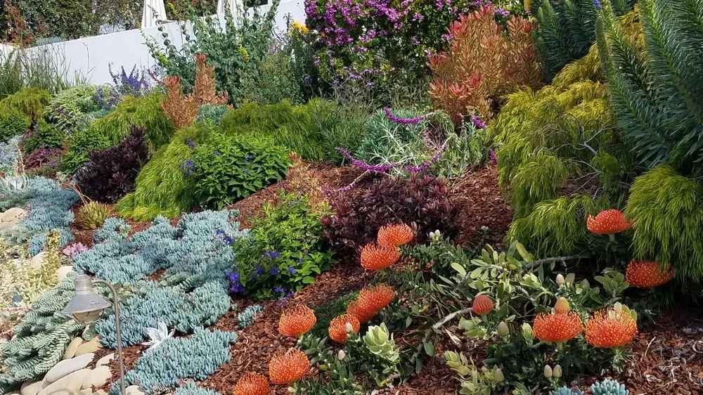 Affordable lawn mowing service for beautiful yards in Santa Barbara, CA by Gardefacts Landscape Design