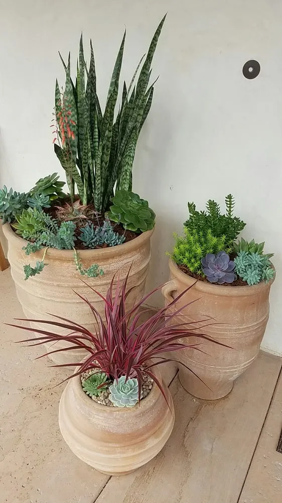 Expert garden landscaping for homes across Santa Barbara, CA - Gardefacts Landscape Design