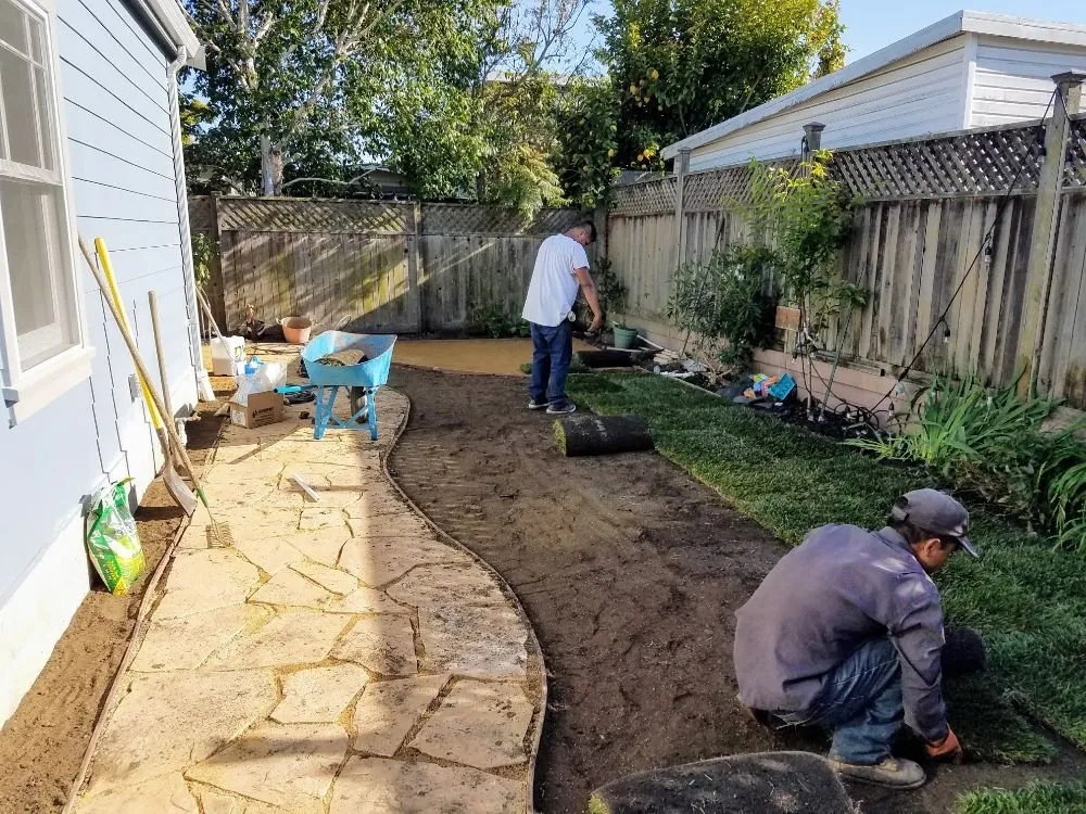 Local landscape installation in Berkeley, CA - Gardella Gardening