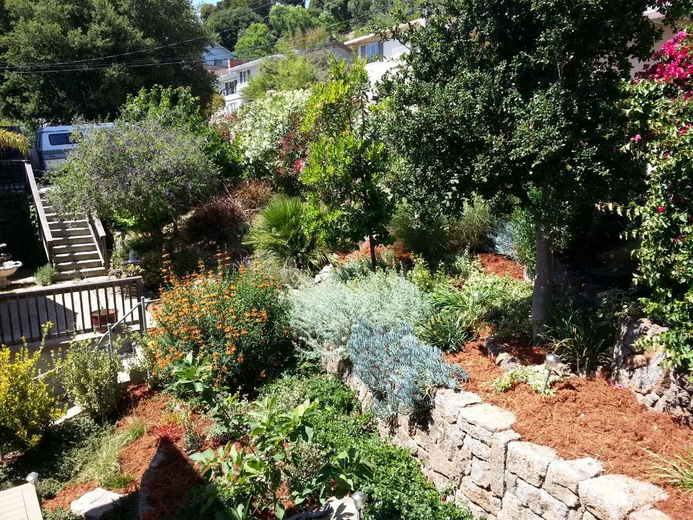 Local garden landscaping with custom design across Berkeley, CA - Gardella Gardening