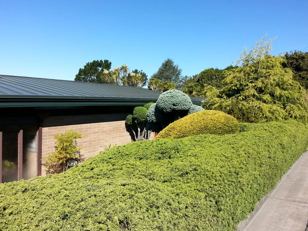 Local residential landscaping experts serving Berkeley, CA - Gardella Gardening