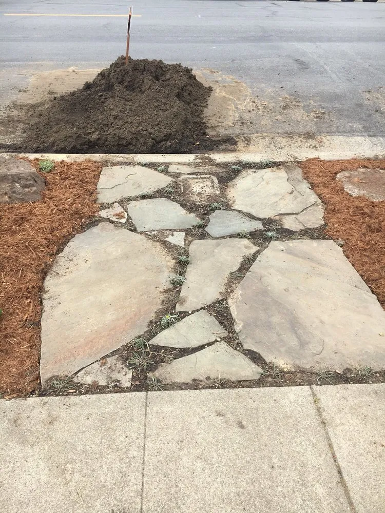 Trusted lawn mowing service near you in Berkeley, CA by Gardella Gardening