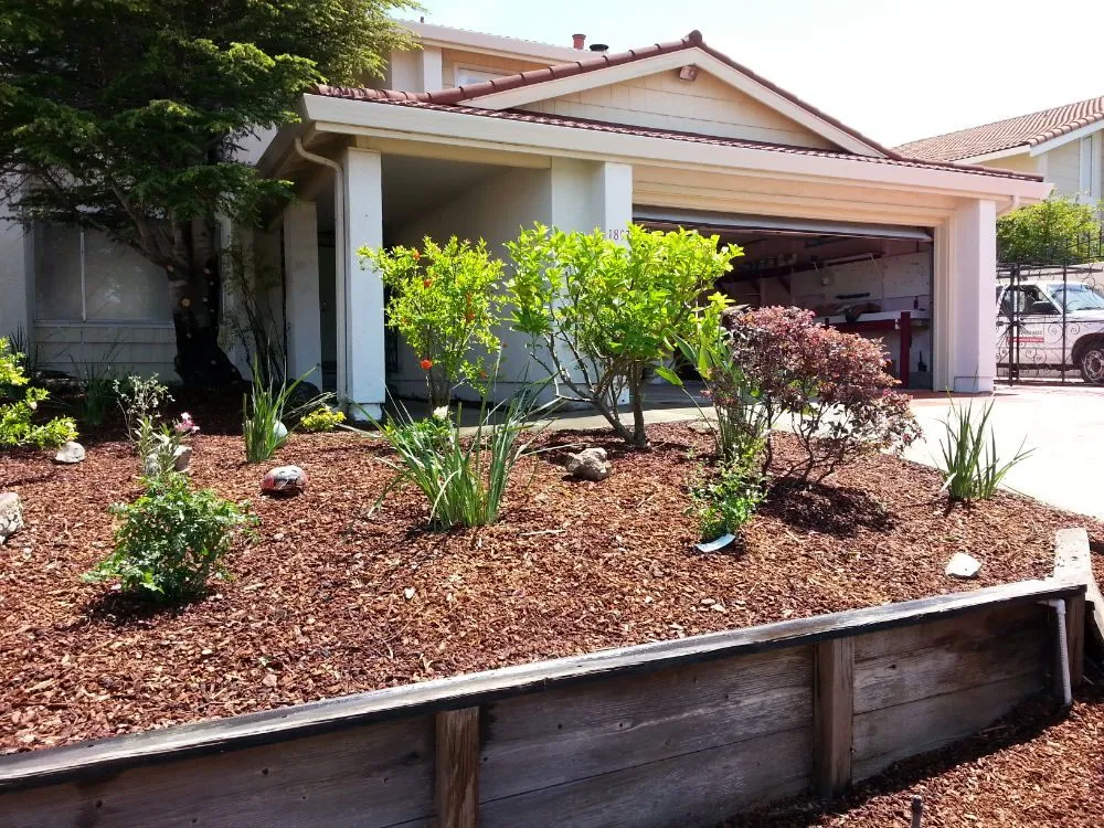 Affordable landscaping services for beautiful yards across Berkeley, CA - Gardella Gardening