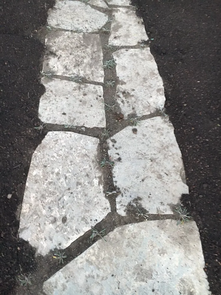 Professional lawn care service for outdoor upgrades across Berkeley, CA - Gardella Gardening