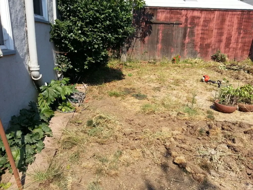 Professional lawn care service for year-round maintenance in Berkeley, CA by Gardella Gardening