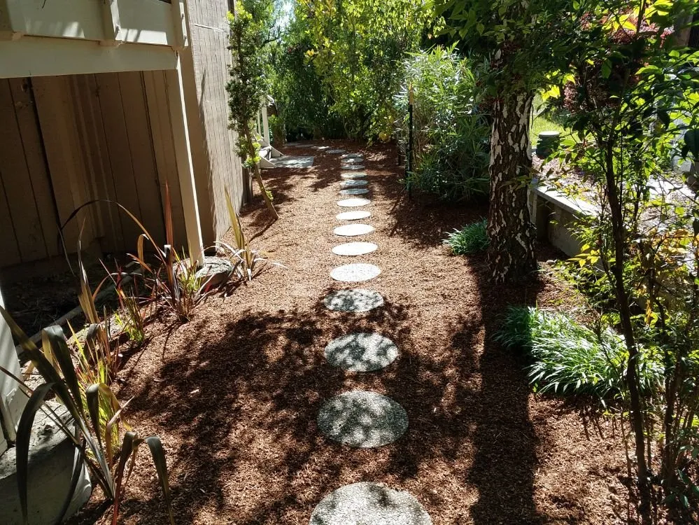 Reliable yard cleanup service for year-round maintenance across Berkeley, CA - Gardella Gardening