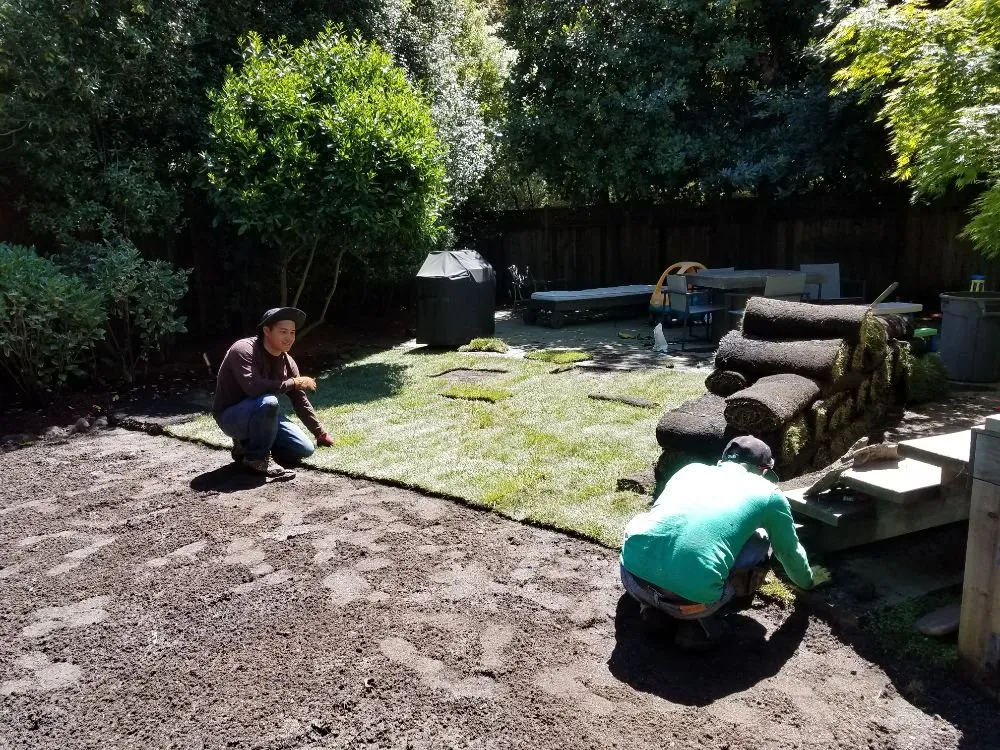 Affordable landscape design for beautiful yards across Berkeley, CA - Gardella Gardening