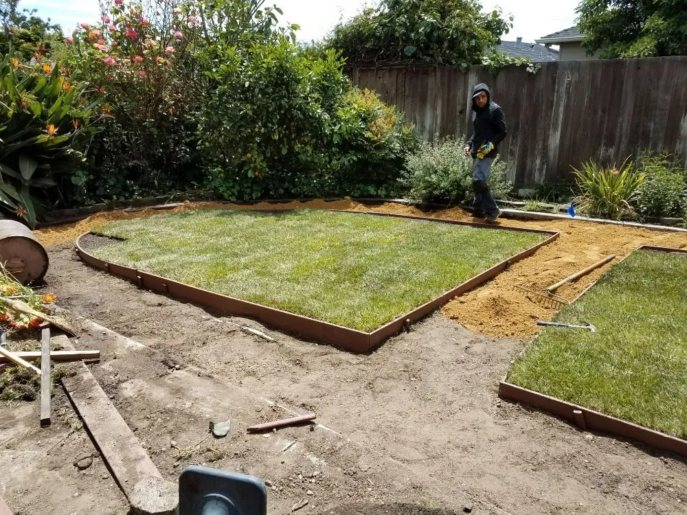 Local landscape design in Berkeley, CA - Gardella Gardening