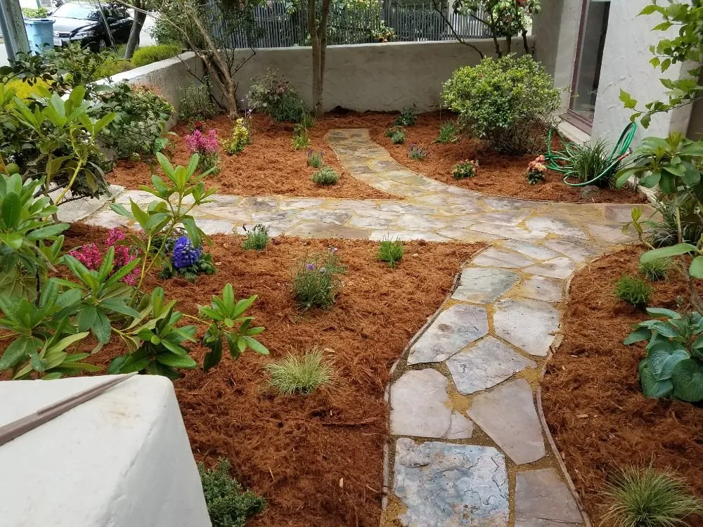 Professional outdoor landscaping experts serving Berkeley, CA - Gardella Gardening