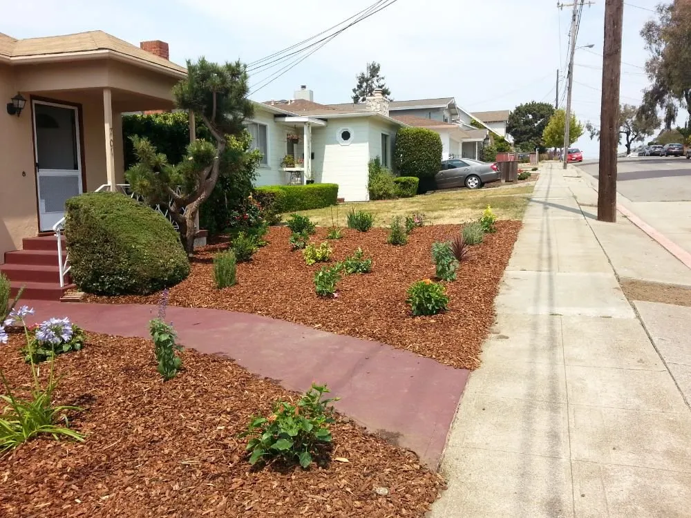 Custom yard cleanup service for outdoor upgrades in Berkeley, CA by Gardella Gardening