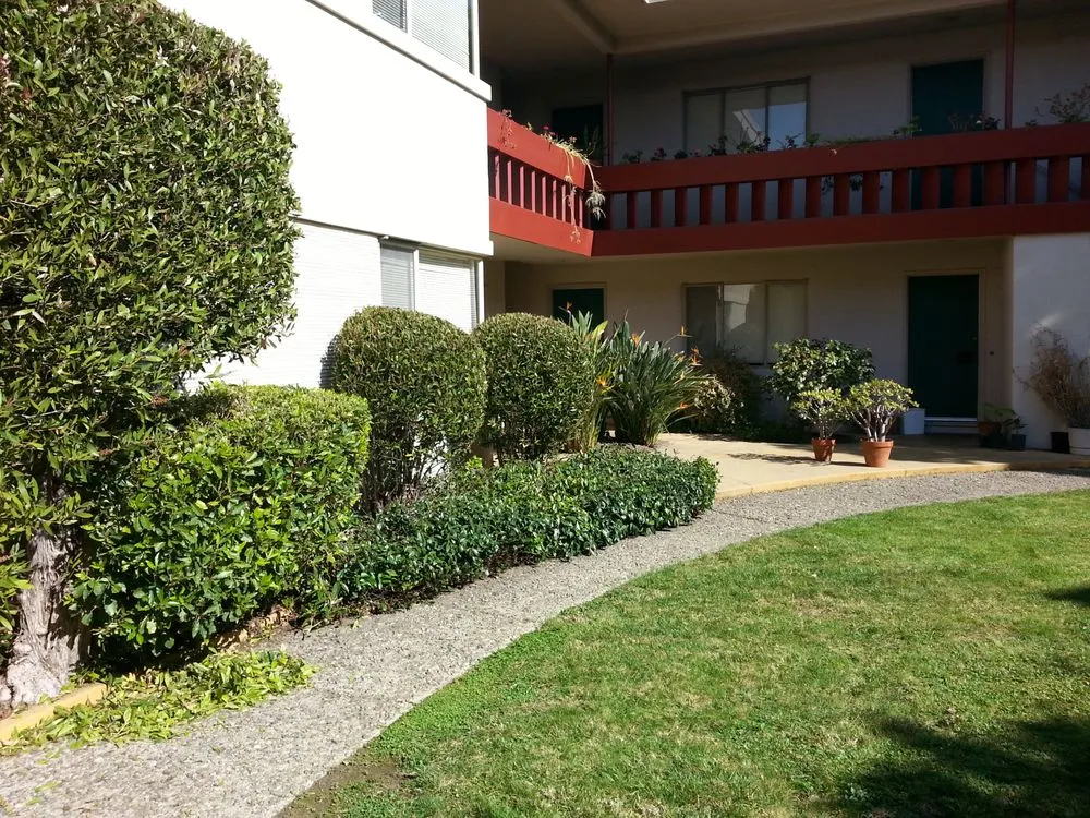 Trusted landscaping services in Berkeley, CA - Gardella Gardening