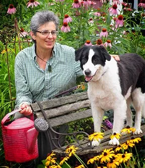 Reliable lawn care service in North Easton, MA by Garden-911 Boston