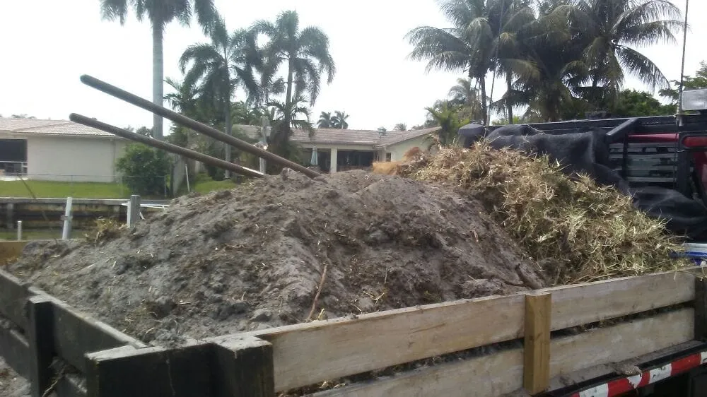 Affordable outdoor landscaping in Weston, FL - Garden Aesthetica