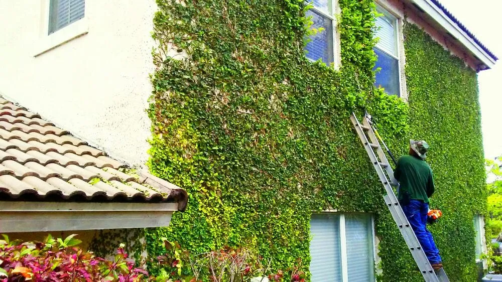 Top-rated landscape design in Weston, FL by Garden Aesthetica