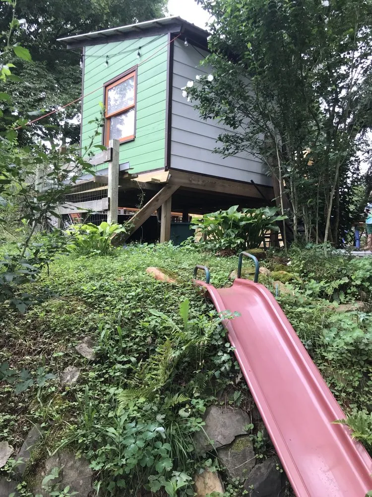 Affordable landscaping services experts serving Central, SC - Garden and Forest Design