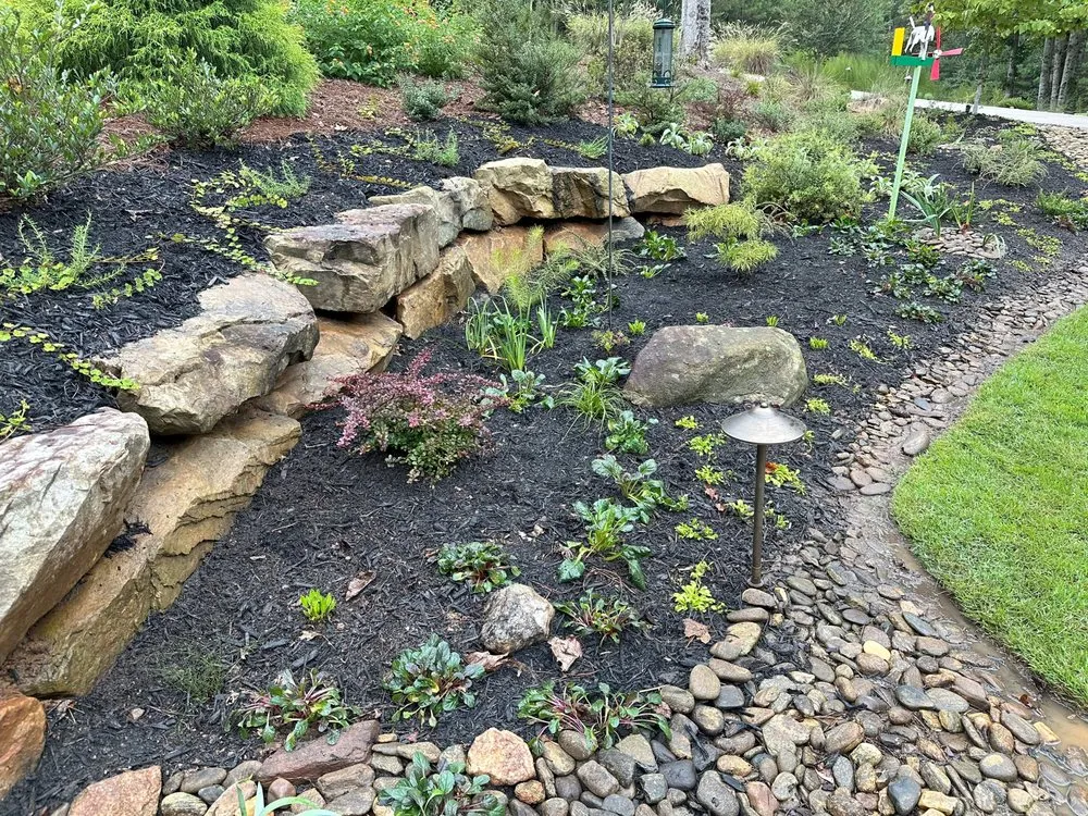 Reliable yard cleanup service in Central, SC - Garden and Forest Design