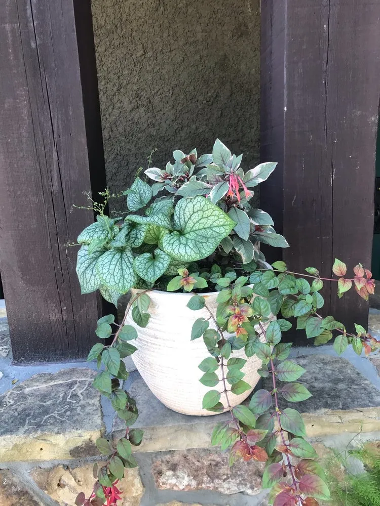 Custom landscape design in Central, SC - Garden and Forest Design