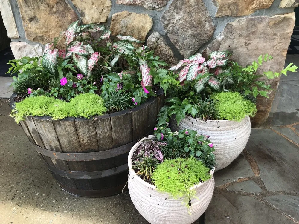 Expert lawn care service for year-round maintenance across Central, SC - Garden and Forest Design