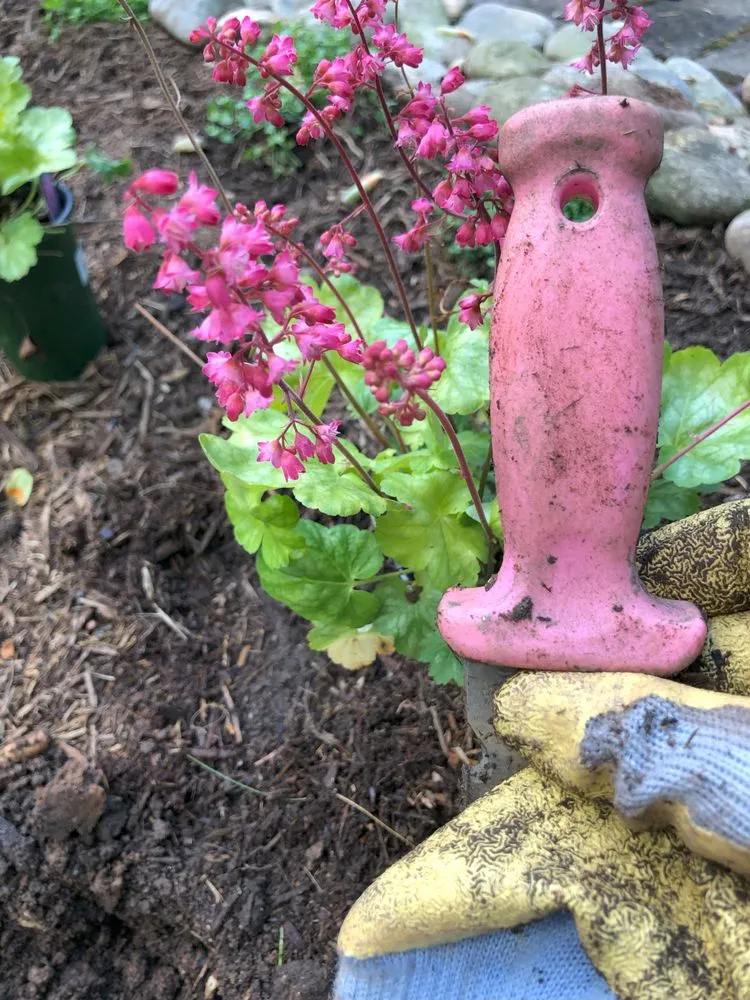 Affordable garden landscaping for residential properties in Central, SC by Garden and Forest Design