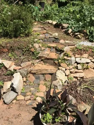 Garden and Forest Design