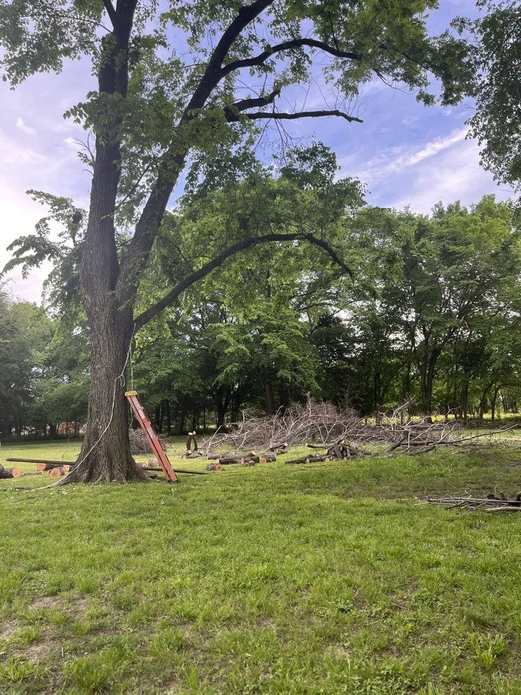 Professional outdoor landscaping with custom design across Dallas, TX - Garden and Landscaping Services