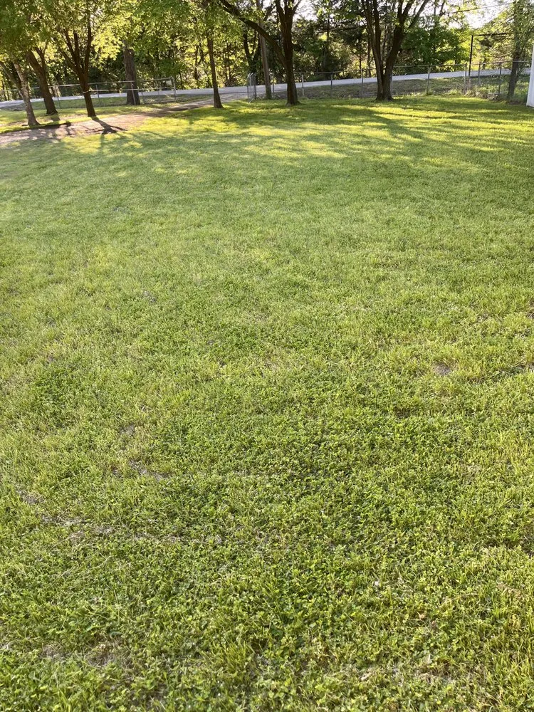 Professional yard cleanup service in Dallas, TX by Garden and Landscaping Services